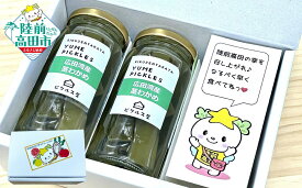 【ふるさと納税】ピクルス 2本 詰め合わせ 〈 広田湾産 茎わかめ 〉 たかたのゆめちゃん おすすめ [ わかめ 海藻 海産物 魚介類 無添加 漬物 保存食 健康 酢 カラフル おやつ おつまみ 酢漬け SDGs お取り寄せ 国産 岩手県 陸前高田市 マイン ]