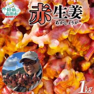 yӂ邳Ɣ[Łzs\ 󏭕i ԐI eʂIׂ 500g 1kg [ I 傤 VEK WW[  {    IĂ ϋ Ð|Ђ K ώ g VI ͂I