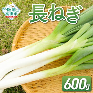 yӂ邳Ɣ[Łzs\ ˂ 600g y𗎂ƂĔ Ɏg [ ˂ lM K lM ˂ lM ~˂ ~lM [˂  {    ߂ lC  ؃\