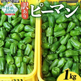 【ふるさと納税】先行予約 訳あり 新鮮 ピーマン 内容量が選べる 1kg 〜 10kg [ 野菜 ベジタブル 新鮮 大容量 規格外 旬 人気 料理 野菜炒め 肉詰め 青椒肉絲 常温 バーベキュー アウトドア キャンプ 産地直送 野菜ソムリエ 国産 岩手県 陸前高田市 Farm Koganeyama ]
