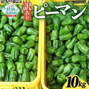 yӂ邳Ɣ[Łz󂠂 VN s[} eʂIׂ 1kg ` 10kg [  xW^u VN e KiO { lC  u l N 퉷 o[xL[ AEghA Lv Yn