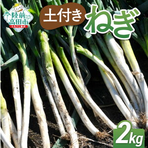 yӂ邳Ɣ[Łzs\ ˂ yt eʂIׂ 1kg 2kg [ ˂ lM K lM ˂ lM ~˂ ~lM [˂ Dt     ߂ lC  ؃\