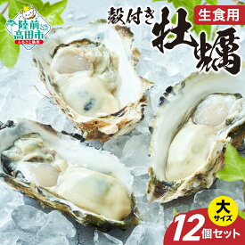 【ふるさと納税】殻付き 牡蠣 大サイズ 12個 セット 生食用 剥き方説明書付き [ かき カキ 生牡蠣 大粒 旬 新鮮 海鮮 限定 人気 おすすめ 冷蔵 料理 鍋 牡蠣鍋 バーベキュー フライ カキフライ 産地直送 岩手 陸前高田 三陸産 広田湾産 気仙町 一本松牡蠣 ]