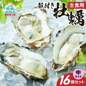 【ふるさと納税】殻付き 牡蠣 中サイズ 16個 セット 生食用 剥き方説明書付き [ かき カキ 生牡蠣 大粒 旬 新鮮 海鮮 限定 人気 おすすめ 冷蔵 料理 鍋 牡蠣鍋 バーベキュー フライ カキフライ 産地直送 岩手 陸前高田 三陸産 広田湾産 気仙町 一本松牡蠣 ]