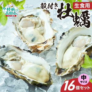 yӂ邳Ɣ[Łzs\ kt y TCY 16 Zbg Hp t [  JL y 嗱 { VR VN CN  lC  ①   y o[xL[ t