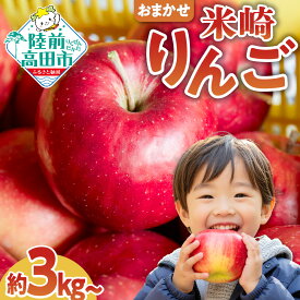 【ふるさと納税】高評価 りんご 5kg 3kg 年内配送〈 品種おまかせ 〉[ フルーツ リンゴ 林檎 アップル 果物 米崎りんご 期間限定 数量限定 青林 王林 ジョナゴールド シナノスイート サンふじ 等 完熟 人気 ジューシー 甘い 産地直送 新鮮 旬 家庭用 農業 岩手 陸前高田 ]