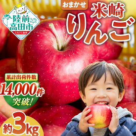 【ふるさと納税】りんご 5kg 3kg 年内配送〈 品種おまかせ 〉[ フルーツ リンゴ 林檎 アップル 果物 米崎りんご 期間限定 数量限定 青林 王林 ジョナゴールド シナノスイートさんふじ 等 完熟 人気 ジューシー 甘い 産地直送 新鮮 旬 家庭用 農業 岩手 陸前高田 ]