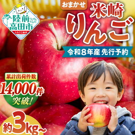 【ふるさと納税】【2026年先行予約】 りんご 5kg 3kg〈 品種おまかせ 〉[ 高評価 フルーツ リンゴ 林檎 アップル 果物 米崎りんご 期間限定 数量限定 青林 王林 ジョナゴールド シナノスイートさんふじ 等 完熟 人気 ジューシー 甘い 産地直送 新鮮 旬 家庭用 陸前高田 ]