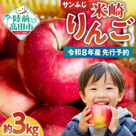 【ふるさと納税】＜先行予約＞ りんご ふじ 完熟 約 3kg [ ふじ サンふじ フルーツ リンゴ 林檎 アップル 果物 米崎りんご apple 旬 高評価 期間限定 数量限定 高糖度 完熟 人気 ジューシー 甘い 産地直送 新鮮 家庭用 農業 岩手 陸前高田 ] 2026年秋発送