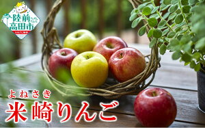 yӂ邳Ɣ[Łz{̂ i ܂ eʂIׂ 2.5kg 5kg [ { t[c S ь Abv ʕ č ] Ԍ ʌ lC W[V[ Â Yn VN { 