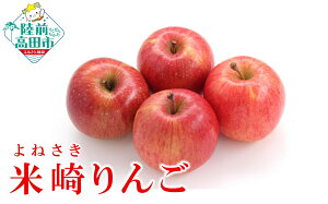 【ふるさと納税】先行予約 旬のりんご 品種 ふじ 内容量が選べる 2.5kg 5kg [ 旬 フルーツ りんご リンゴ 林檎 アップル 果物 米崎りんご フジ 高評価 期間限定 数量限定 人気 ジューシー 甘い