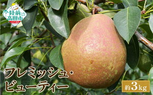 �ԗ�i�摜