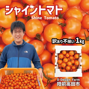 yӂ邳Ɣ[Łz󂠂 t[cg}g w VCg}g x  1kg [ Â Ƃ܂ 1000g -Je r^~C Lx _ ACbN _@ ܂ t[c VC s ʌ 