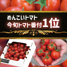 【ふるさと納税】甘い フルーツトマト 『 めんこいトマト』 1kg 1000g 品種 フルティカ ★ テレビ で 紹介 されました！ [ 新鮮 アイメック 次世代農法 今旬トマト番付 1位 獲得 フルーツ トマト 野菜 農業 岩手 陸前高田市 ]