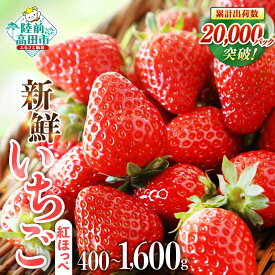 【ふるさと納税】先行予約 採れたて いちご 紅ほっぺ 数量限定 内容量が選べる 400g 〜 1,600g [ 訳あり イチゴ 苺 ストロベリー 新鮮 果物 フルーツ 旬 小分け 人気 スイーツ お菓子 ケーキ ジャム ギフト プレゼント 採れたて 産地直送 岩手 陸前高田 Hsfarm ]