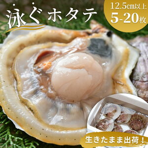 yӂ邳Ɣ[Łz] 4.96 jz^e  z^e z^e   L  kt hg 茧 Ύs OC Nx VN }LC` }LC`X ̗ǂz^e  J