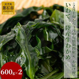 【ふるさと納税】 ＜ 2月上旬から3月中旬頃期間限定 お届け便 ＞ いわて三陸産 生わかめ 600g×2 計 1.2kg 釜石市 わかめ 生 刺身 国産 サラダ 酢の物 天然 海藻 海鮮 新鮮 カリウム わかめの刺し身 味噌汁 お取り寄せ 産地直送 お取り寄せ グルメ 食品