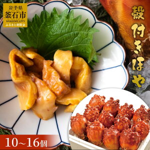 yӂ邳Ɣ[Łz kt ق 10`16 VN z  z L hg CN 茧Ύs OC O Y Hp  VR C̍K ̂܂ ܂  |̕ { Ԍ 