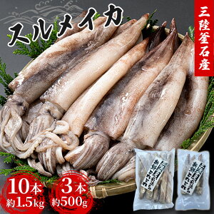 yӂ邳Ɣ[Łz OΎY ߂ eʃpbNI10{ 1.5kg 3{ 500g ^ ߂ oⓀ ֗  Q\ g tC Yn _ቷ 茧 Ύs   O CY 