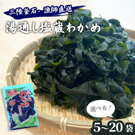 【ふるさと納税】 三陸釜石・漁師直送 湯通し塩蔵わかめ 選べる 袋数 5袋 10袋 15袋 20袋 100g 小分け 長期保存 三陸産 わかめ 肉厚 塩蔵 ワカメ 国産 産地直送 お取り寄せ 新鮮 みそ汁の具 万能 酢の物 味噌汁材料