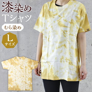 yӂ邳Ɣ[ŁzTVc ނ LTCY g72cm×g53cm×21cm 1  TVc    100 Y t@bV  Y 茧 ˎs 