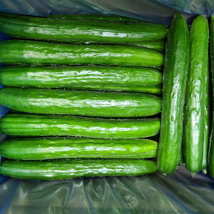 yӂ邳Ɣ[Łzɂ̂ւイ Ii Ai 2kg/3kg/5kg/10kg Iׂe ӉZ  イ ˎsY 茧Y Y y2026N7{9{ɏ\z