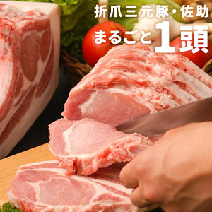 yӂ邳Ɣ[Łzܒ܎O ܂1 v51kg [X10kg [X5kg o10kg q1kg 15kg Ef10kg ؓ ubN XCX Ђ ғ Ԃ ē Ƃ񂩂 IĂ e