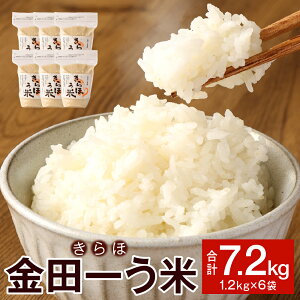 yӂ邳Ɣ[Łzcꂤ   1.2kg×6 v7.2kg ߘa7NY       k 茧Y Y 