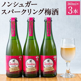 【ふるさと納税】南部美人 ノンシュガースパークリング梅酒 3本セット 360ml×3本 箱入り 詰め合わせ お酒 食前酒 乾杯酒 リキュール 糖類無添加 送料無料