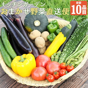 yӂ邳Ɣ[ŁzLb`K[f܂ؒ ܂  Zbg lߍ킹 ڈ10i 茧 Y kY ①  yVX[p[SALE 9J