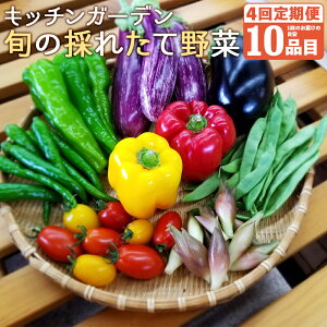 yӂ邳Ɣ[Łz{̍̂ꂽĖ؎Yn v4 2E5E9E12͂ 4񂨓͂  Hi lߍ킹 ڈ10i 茧 Y kY ①  yVX[p[SALE 9J