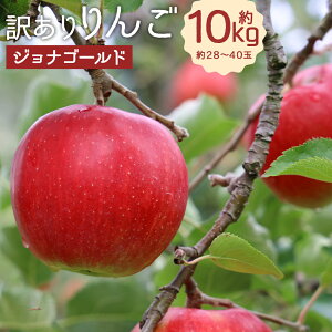 yӂ邳Ɣ[Łz󂠂  WiS[h 10kg 28`40 󂠂 ƒp  S ь t[c ʕ 茧Y ① y2025N10{\z