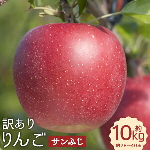 yӂ邳Ɣ[Łz󂠂  Tӂ 10kg 28`40 󂠂 ƒp  S ь t[c ʕ 茧Y  y2025N12{|2026N1{\z