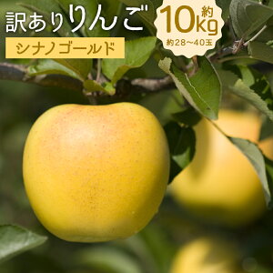 yӂ邳Ɣ[Łz󂠂  VimS[h 10kg 28`40 󂠂 ƒp  S ь t[c ʕ 茧Y  y2025N12{|2026N1{\z