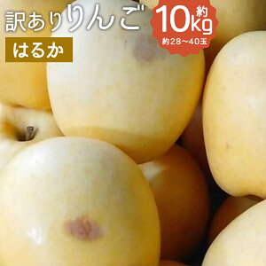 yӂ邳Ɣ[Łz󂠂  ͂邩 10kg 28`40 󂠂 ƒp  S ь t[c ʕ 茧Y  y2025N12{|2026N1{\z