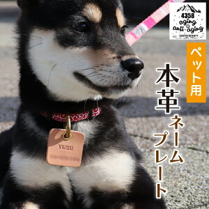 yӂ邳Ɣ[Łz  L qD {v ybgp l[v[g O dbԍ  ^ D l[^O hbO^O ybh^O ^O qh~  O l[ L[z_[ `[ 