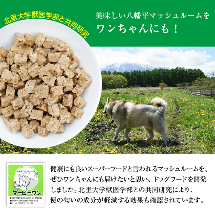 楽天市場 ふるさと納税 無添加 ドッグフード 八幡平マッシュルーム入り 1kg 1袋 小型犬 中型犬 大型犬 成犬 岩手県 八幡平市 送料無料 B 002 岩手県八幡平市