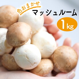 【ふるさと納税】マッシュルーム おすすめ 八幡平マッシュルーム 1kg 色はおまかせ ／ きのこ キノコ 茸 生食 生 サラダ パスタ おつまみ 焼く 煮る 揚げる 自宅用 家庭用 和食 洋食 スープ おまかせ 美味しい おいしい 岩手県産 ジオファーム 岩手県 八幡平市 送料無料