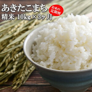 yӂ邳Ɣ[Łz yߘa7NYzys\z 2025NY 茧Y     Iׂ  1 3 e 5kg 10kg 30kg ܂ ^   ͂   CX P 