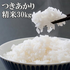 yӂ邳Ɣ[Łz yߘa7NYzys\z 2025NY 茧Y     Iׂ  1 3 e 5kg 10kg 30kg  ^    ͂  CX P 