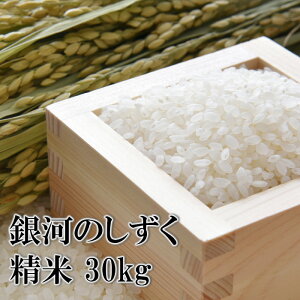 yӂ邳Ɣ[Łz yߘa7NYzys\z 2025NY 茧Y     Iׂ  1 3 e 5kg 10kg 30kg ͂̂ ^    ͂  CX P 
