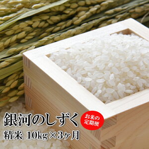 yӂ邳Ɣ[Łz yߘa7NYzys\z 2025NY 茧Y     Iׂ  1 3 e 5kg 10kg 30kg ͂̂ ^    ͂  CX P 