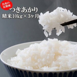 yӂ邳Ɣ[Łz yߘa7NYzys\z 2025NY 茧Y     Iׂ  1 3 e 5kg 10kg 30kg  ^    ͂  CX P 