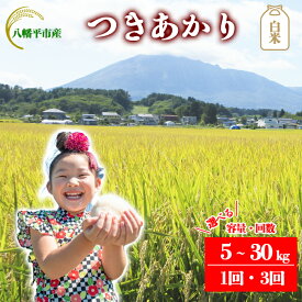 【ふるさと納税】 【令和7年産】【先行予約】 2025年産 岩手県産 米 こめ お米 精米 選べる 発送回数 1回 3回 容量 5kg 10kg 30kg つきあかり ／ 白米 白飯 ご飯 ごはん おこめ ライス 単発便 定期便 おにぎり おすすめ 国産米 東北 岩手県 八幡平市 送料無料 かきのうえ