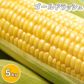 【ふるさと納税】とうもろこし スイートコーン おすすめ ゴールドラッシュ 約 5kg ／ トウモロコシ とうきび コーン 玉蜀黍 夏野菜 野菜 旬野菜 季節野菜 生食 新鮮 甘い 採れたて 旬 5キロ バーベキュー 農家直送 期間限定 岩手県 八幡平市 産地直送 送料無料 みうら農園