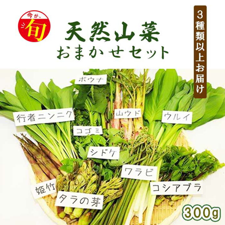 楽天市場】【ふるさと納税】 期間限定 天然山菜 食べ比べ セット 約 
