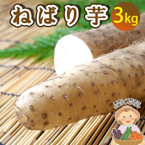 yӂ邳Ɣ[Łz R  茧Y ˂΂ 3kg ^ ˂΂肢   Ȃ R ܂ ܈ _ƒ Yn Ƃ Ƃ낲 т̂Ƃ т̂ ܂ R