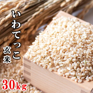 yӂ邳Ɣ[Łzyߘa7NYzys\z 2025NY 茧Y     Iׂ e 5kg10kg 20kg 30kg Ă ^ ܂   ͂ CX 茧Y _ƒ Yn 