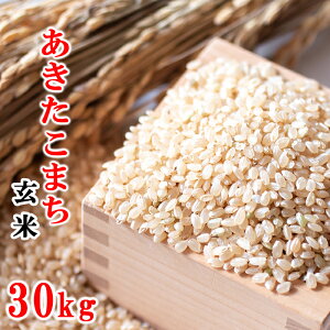 yӂ邳Ɣ[Łzyߘa7NYzys\z 2025NY 茧Y     Iׂe 5kg10kg 20kg 30kg ܂ ^ ܂   ͂ CX 茧Y _ƒ Yn