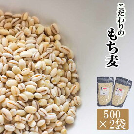 【ふるさと納税】 岩手県産 もち麦 はねうまもち 1kg (500g×2袋) ／ もちむぎ 雑穀 雑穀米 もち麦ご飯 ご飯 ごはん 麦ごはん 麦ご飯 お粥 おかゆ 主食 混ぜるだけ 混ぜて炊くだけ 簡単 手軽 小分け ジッパー付き 農家直送 産地直送 岩手県 八幡平市 送料無料 十一代目藤助